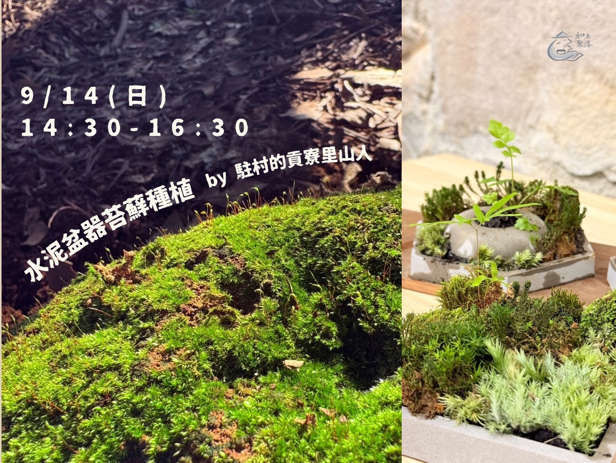 【活動繳費】9/14(日)水泥盆器苔蘚種植 (標題圖檔)