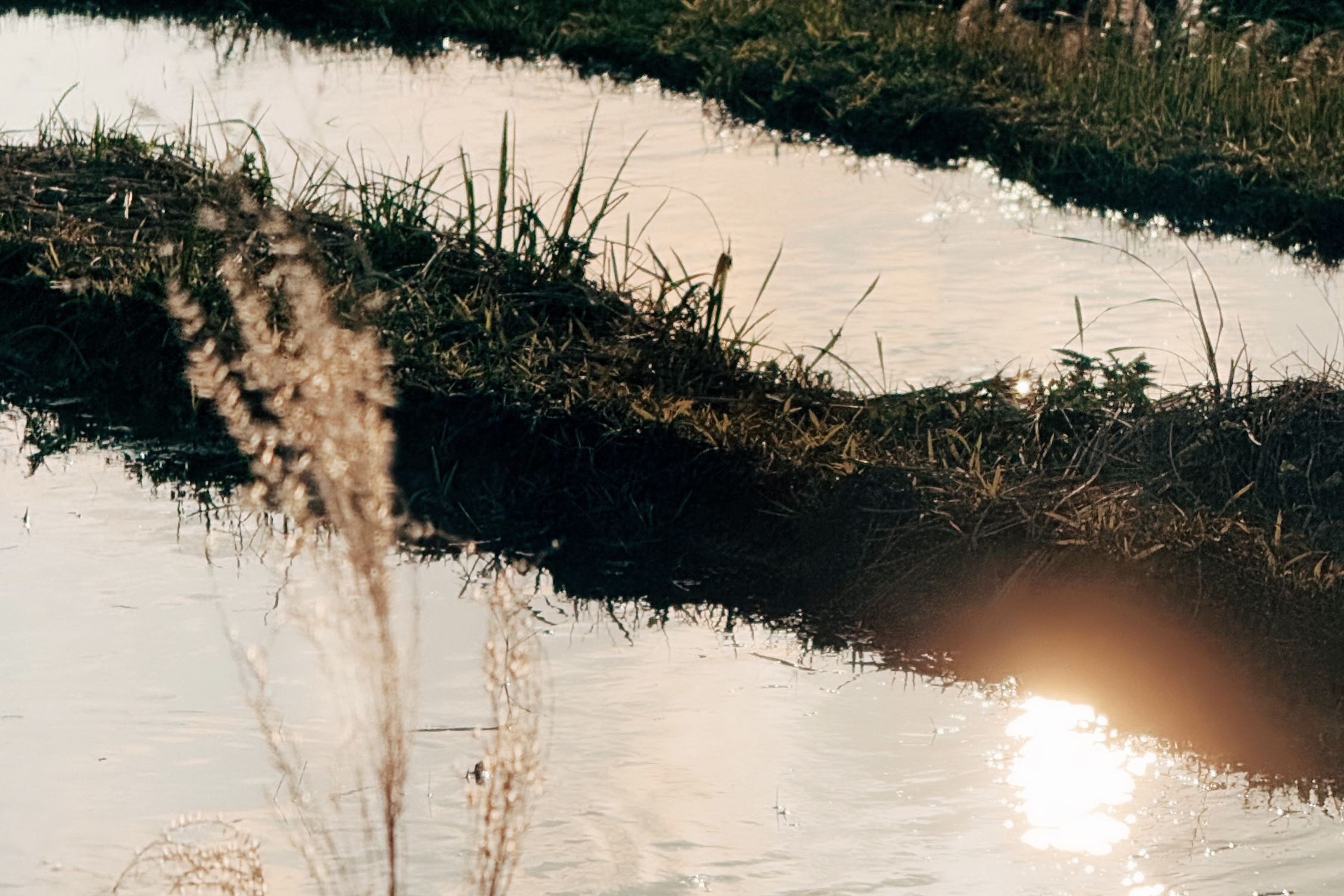 2025全新徵集｜ 里山創作駐村計畫(標題圖檔)