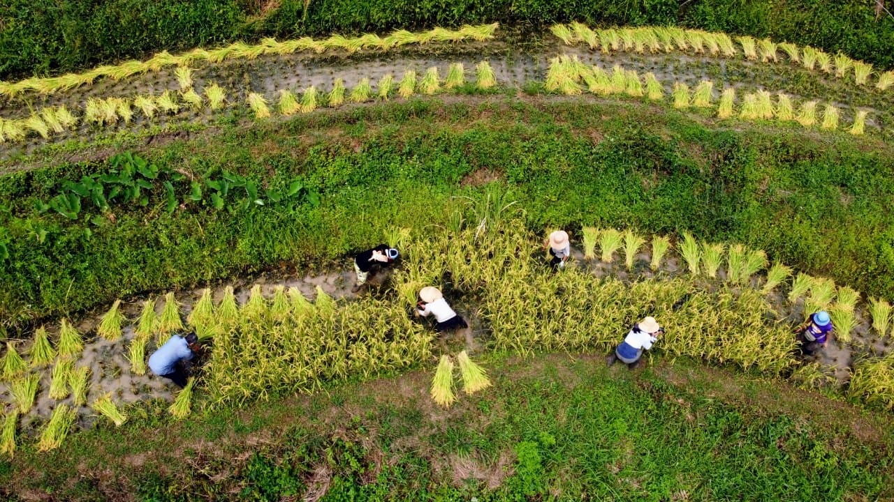 工作假期深呼吸(標題圖檔)