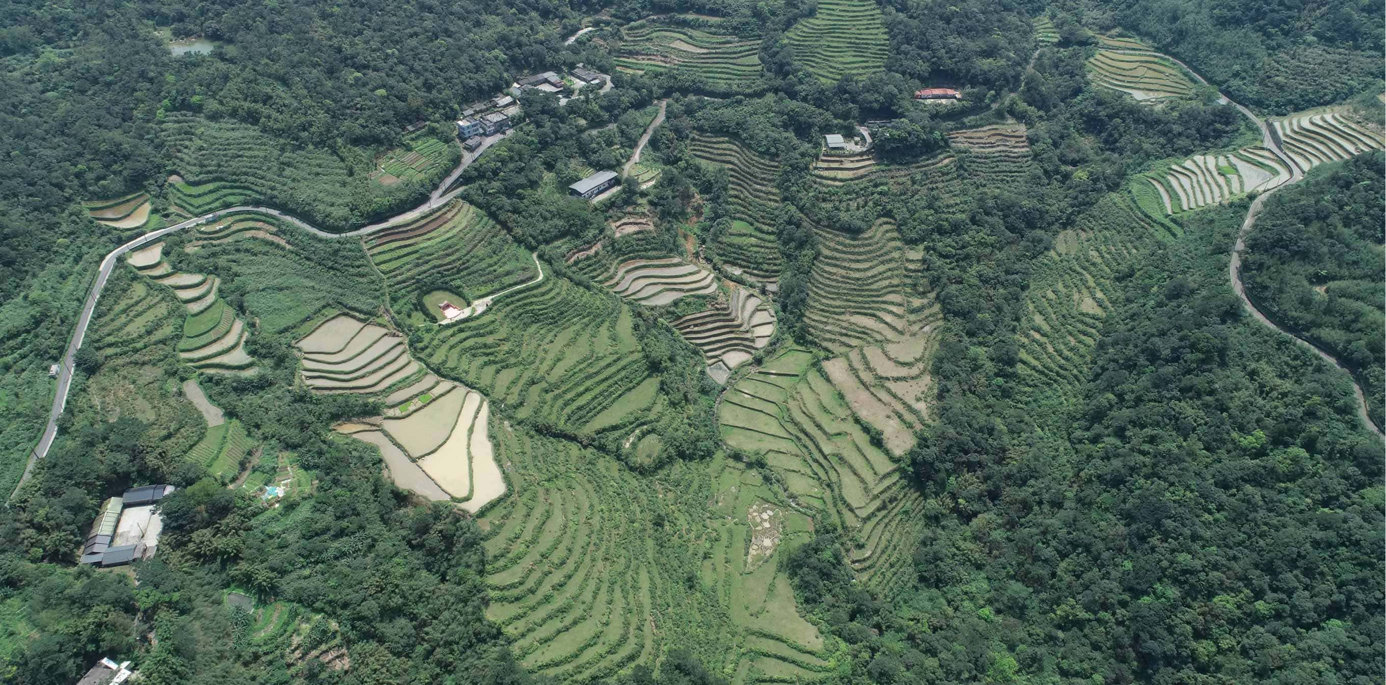 首頁主視覺 大梯田地景1