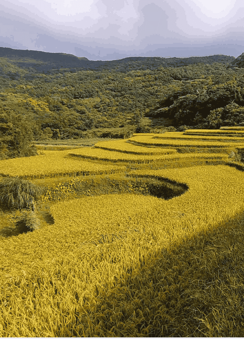 住所＆耕地媒合(標題圖檔)